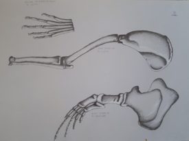 Yago, Untitled 175, 1997-2003, drawing on paper, 70×50, 175