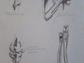 Yago, Untitled 173, 1996, drawing on paper, 50×70, 173
