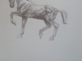 Yago, Untitled 176, 1997, drawing on paper, 50×70, 176
